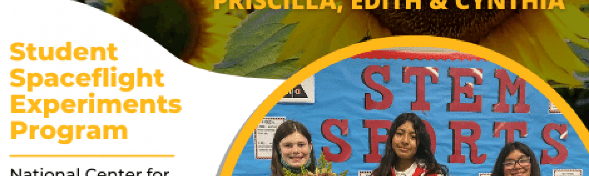 SSEP Announcement