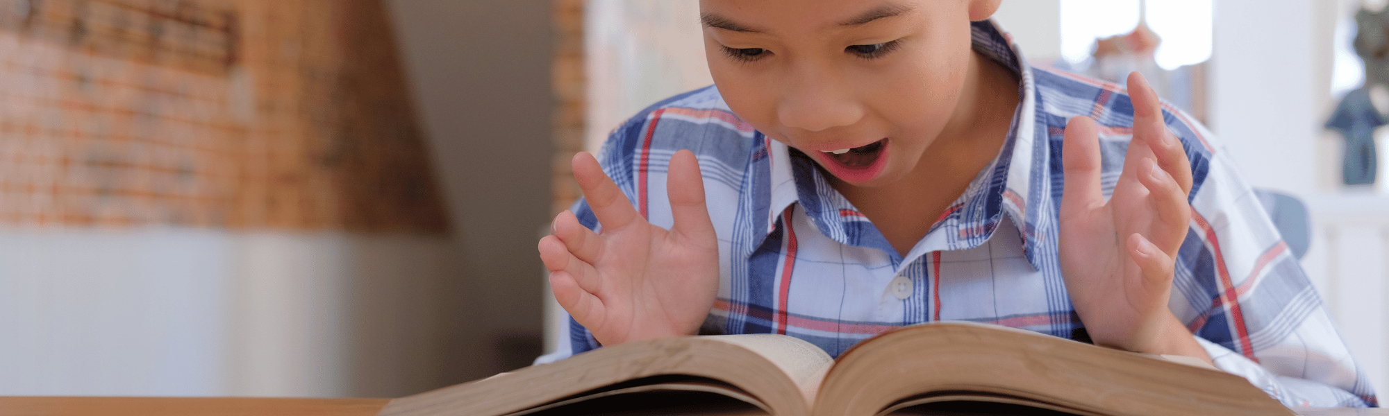 child reading a book